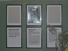 Text Index