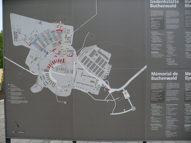 Text Image