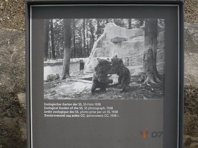 Text Image