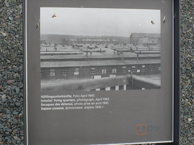 Text Image