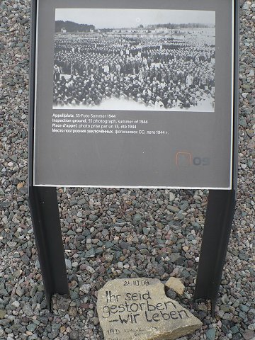 Text Image