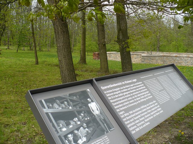 Text Image