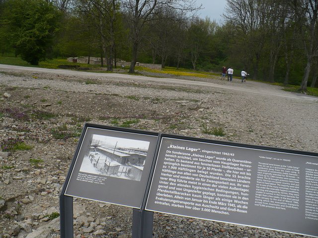Text Image
