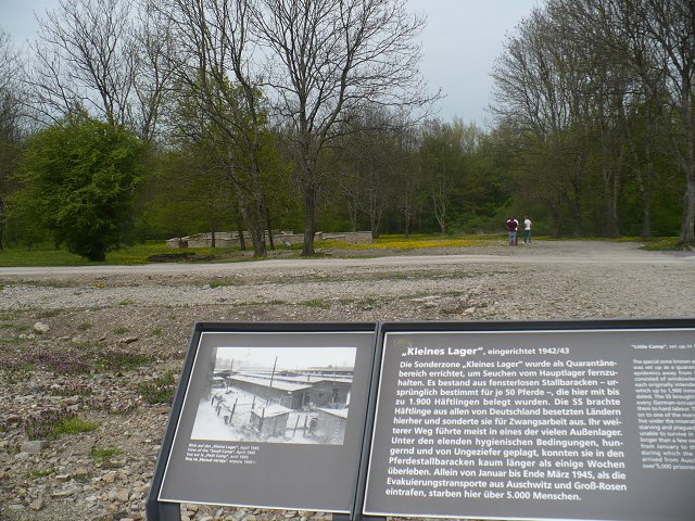 Text Image