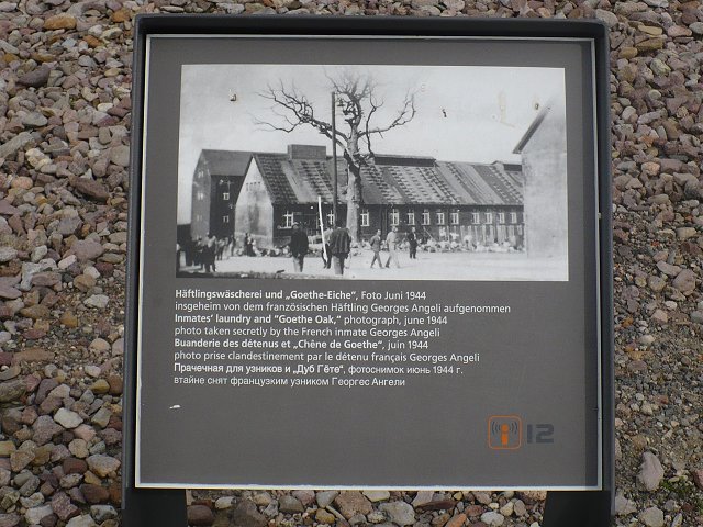 Text Image