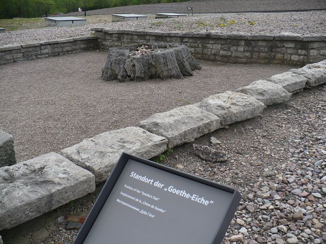 Text Image