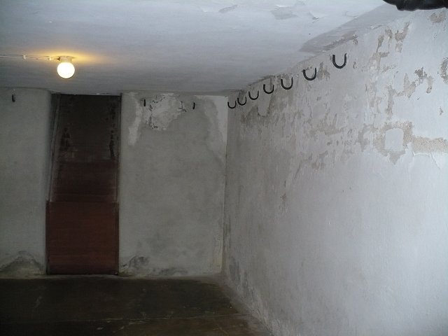Text Image
