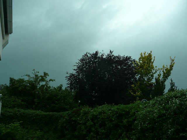 Text Image