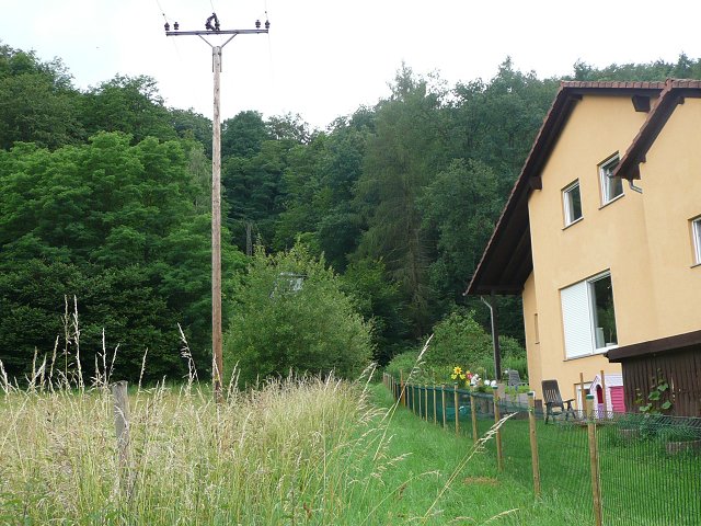 Text Image