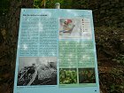 Text Index