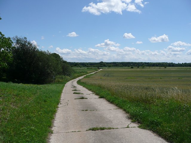 Text Image