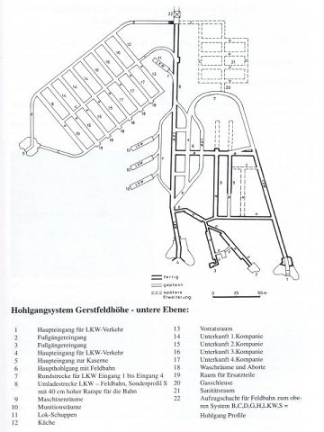 Text Image