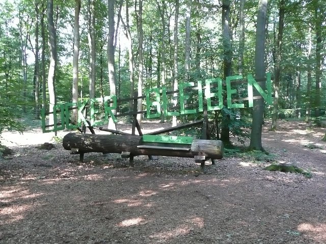 Text Image