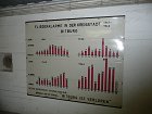 Text Index
