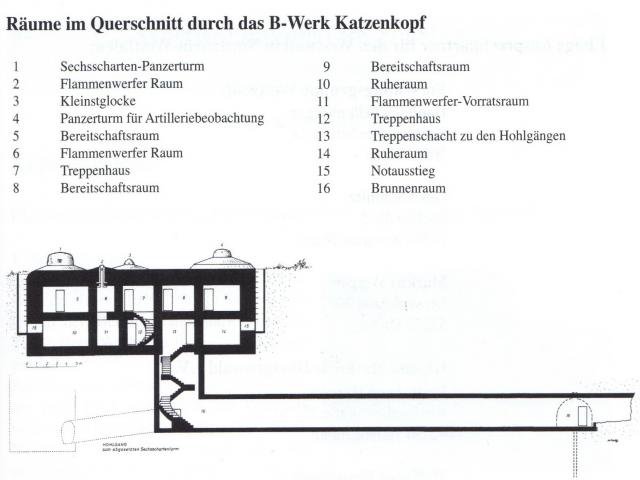 Text Image