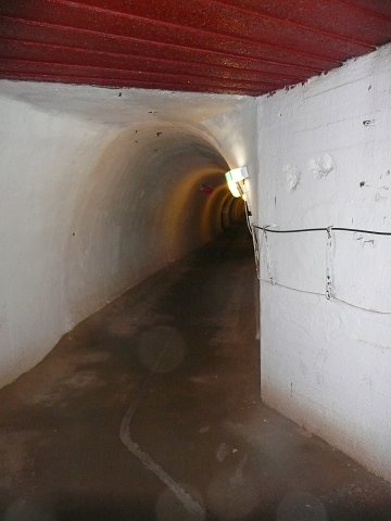 Text Image