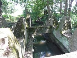 09
